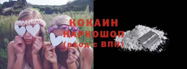 стаф Володарск