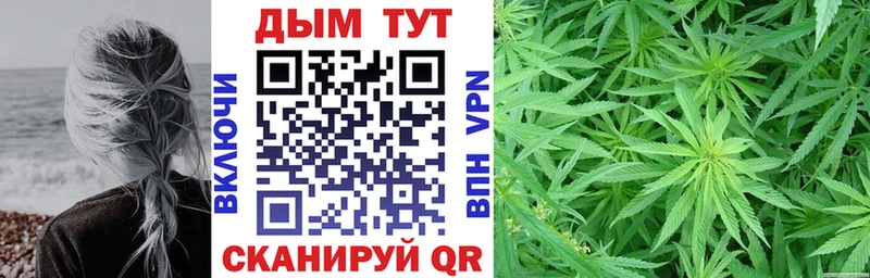 Конопля гибрид  Купить  Кизел 